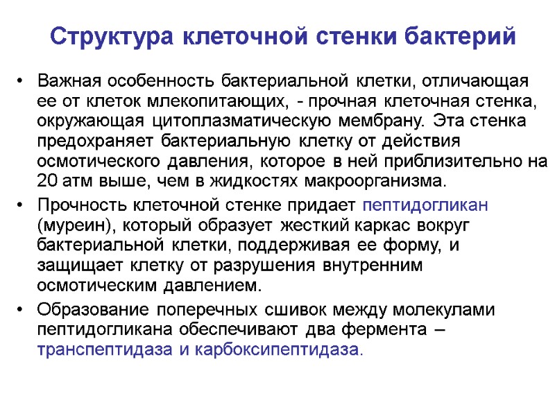 Структура клеточной стенки бактерий Важная особенность бактериальной клетки, отличающая ее от клеток млекопитающих, -